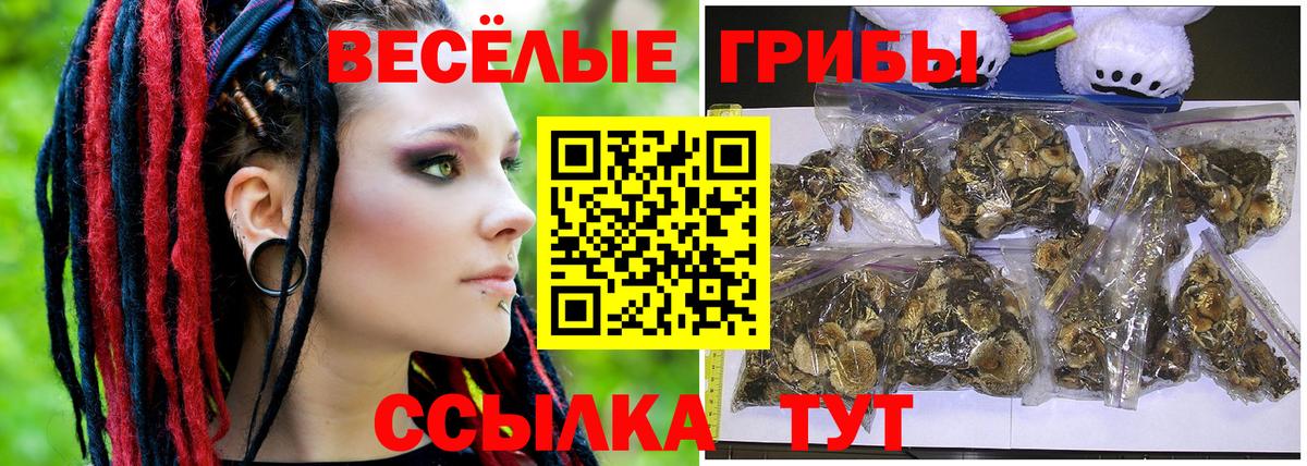 Псилоцибиновые грибы GOLDEN TEACHER Бахчисарай
