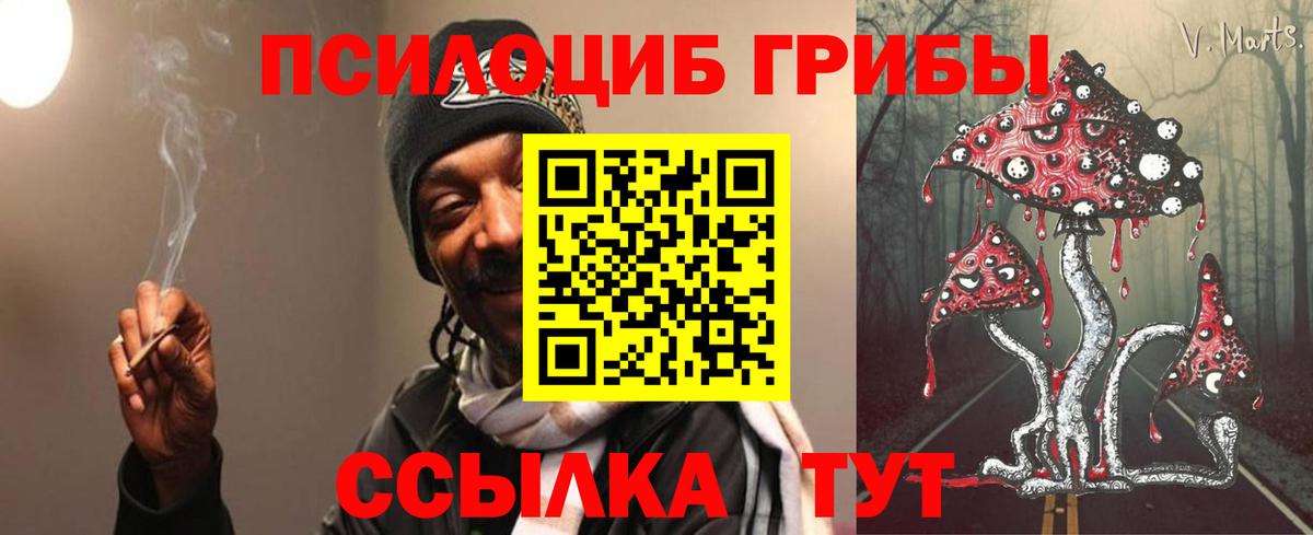 Псилоцибиновые грибы ЛСД  Галлюциногенные грибы ЛСД  Вход с VPN  Бахчисарай 